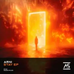 Обложка Divinsity - Ashes to Anthem (Hardstyle)