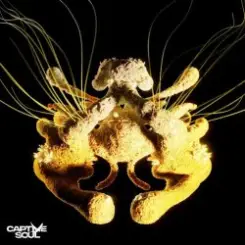 Korolova & Юлія Саніна - Higher Calling слушать онлайн