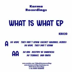 Обложка DJ Ande & DJ KOS & DJ Terrace - They Don't Know (Secret Squirrel Remix)