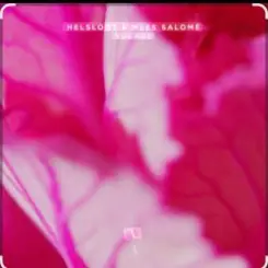Обложка Helsloot & Mees Salome - Solace (Extended Mix)
