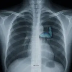 Обложка Vsivdoma - Світло