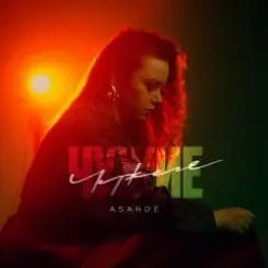 Обложка ASANDE - Чужие