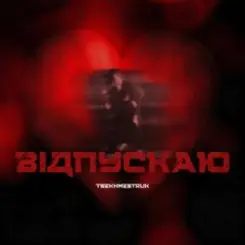 Обложка TSEKHMESTRUK - Відпускаю