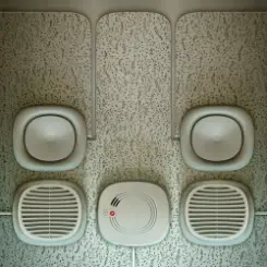 Обложка 808 State - Bushy Bushy