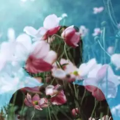 Bosnia & Михаил The Bojarski - Without Chance слушать онлайн