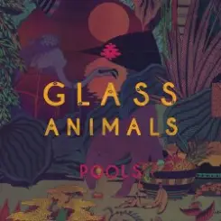 Обложка Glass Animals - Pools