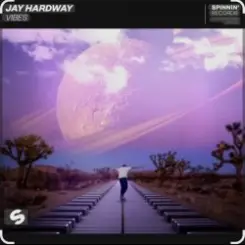 Обложка Jay Hardway - Vibes