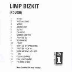Обложка Limp Bizkit - Don't Go Off Wandering