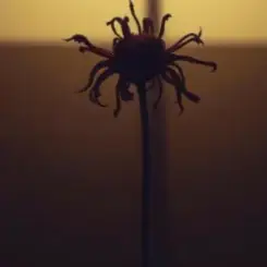 Обложка Neytan - Welcome to my mind