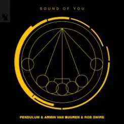 Pendulum & Armin van Buuren & Rob Swire - Sound of You слушать онлайн