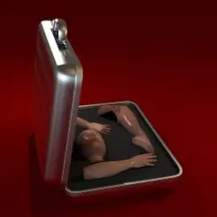 Обложка Sevdaliza - Mad Woman