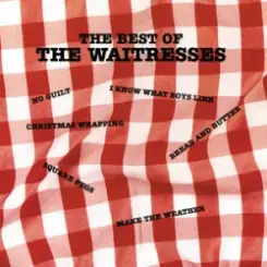 Обложка The Waitresses - Christmas Wrapping