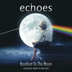 Обложка Echoes - Shine on you crazy diamond