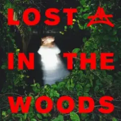 Обложка Elderbrook & Adriatique - Lost In The Woods
