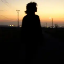 Обложка Пьянков Михаил Александрович - Больничные стены