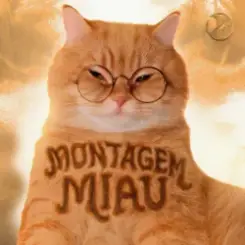 Lenar & Leonardo P - Montagem Miau - Slowed слушать онлайн