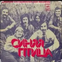 Обложка ВИА Синяя Птица - Там, где клен шумит