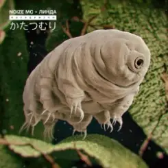 Обложка Noize MC - Катацумури