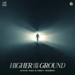 Обложка Steve Aoki & Nicky Romero - Day & Night