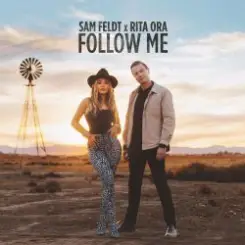 Обложка Sam Feldt - What About The Love