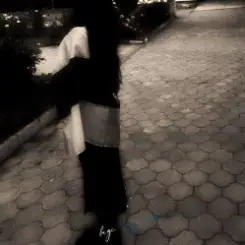 Обложка Hegi - Angelina