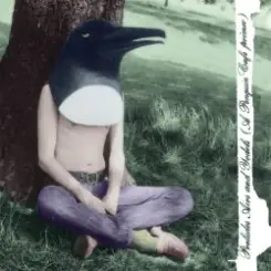 Обложка The Penguin Cafe Orchestra - TBeanfields