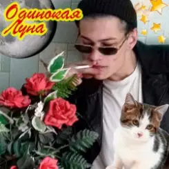 Обложка ЮГ 404 - Одинокая луна