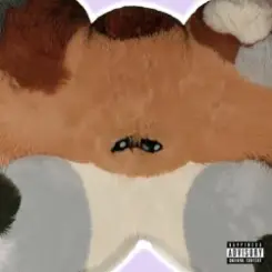 Обложка Hsien Ching - New Notes