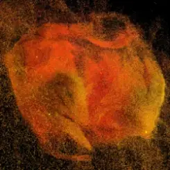 Deco (BE) - Sehni слушать онлайн