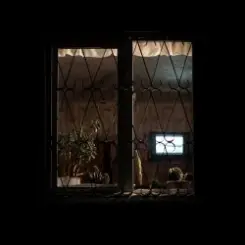 Обложка Honeyfrequency - Курьер