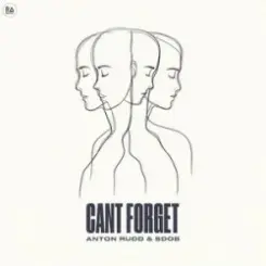 Anton Rudd & Sdob - Cant Forget слушать онлайн