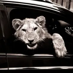 MACAN & Kiliana - Спокойной ночи слушать онлайн