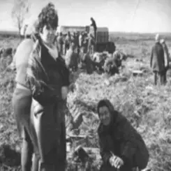 Обложка AGROBOGER - Голова колгоспу