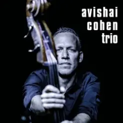 Avishai Cohen - Shuffle слушать онлайн