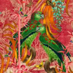 Обложка Adam Ellis - Aulus