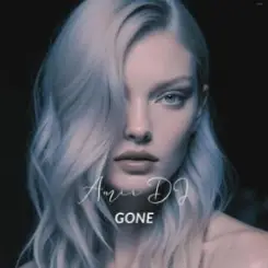 Обложка Amir DJ - Go Away