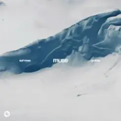 Обложка Surf Mesa & GUDFELLA - Muse