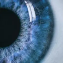 Обложка Vibfy - Dont Fade Away