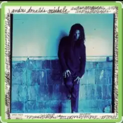 Обложка Andru Donalds - Mishale