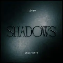 Обложка Tiesto & Undercatt - Shadows