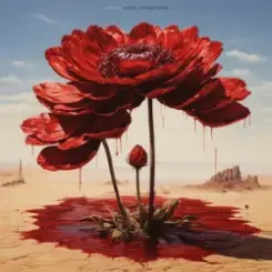 Обложка Marshroot - Далі не буде