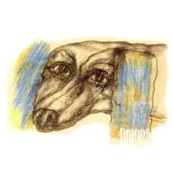 Обложка Dolphin - Романс