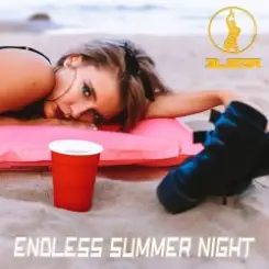 Обложка ELIGOR - Endless Summer Night