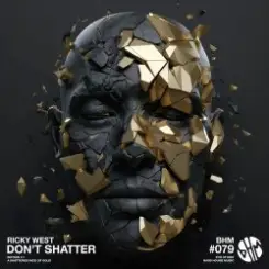 Обложка Ricky West - Don't Shatter