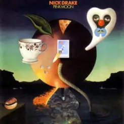 Nick Drake - Pink Moon слушать онлайн