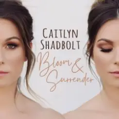 Обложка Caitlyn Shadbolt - Secret Stories