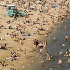 Нікіта Кісельов - Чайка слушать онлайн