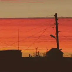 Обложка Elements of Dust - Sibekki