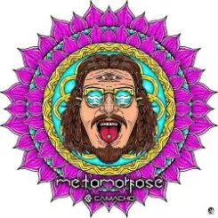 Обложка Henrique Camacho - Parvati River (Original Mix)