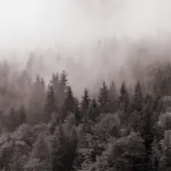 Обложка Y.K. Music - У Тумані